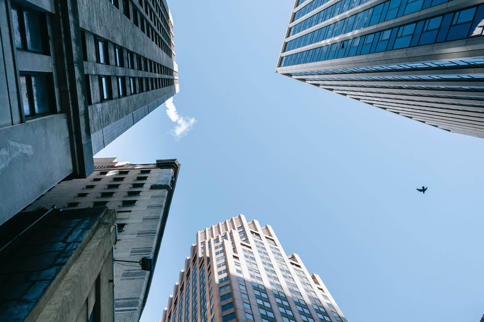 Equipe RTLitz trabalhando em soluções tecnológicas inovadoras